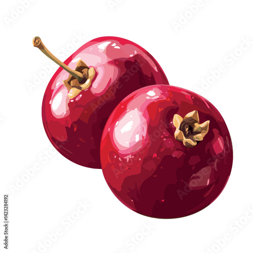 Shiny vibrant red cranberries with stems on white background