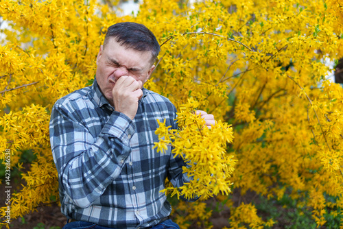 portrait of a man on the background of yellow forsythia flowers, spring nature and blossoms