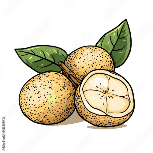 Fresh limoncillo fruit with green leaves on white background