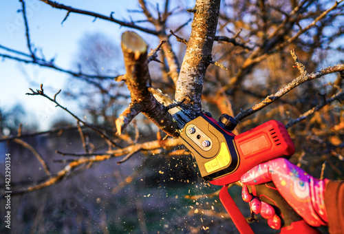Chainsaw Cordless for tree pruning. Cut branch use Pruning Saw. Mini Cordless Chainsaw. Pruning Chainsaw cut tree branches. Electric Pruning Saw. Wireless Household Mini Handheld Electric Chain Saw.