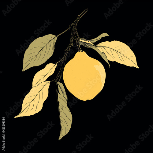 Illustrative yellow lemon on tree branch with leaves against black background