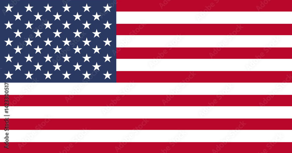 Naklejka premium The US flag vector illustration