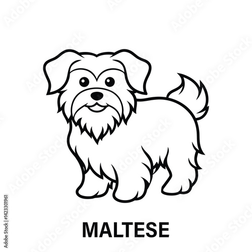 Cute Maltese Dog Vector Art for Pet and Grooming Designs.