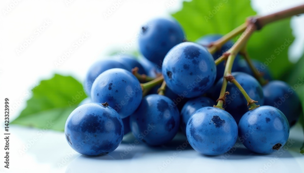 Fototapeta premium Luscious blue grapes, glistening wet, isolated , fruit, texture