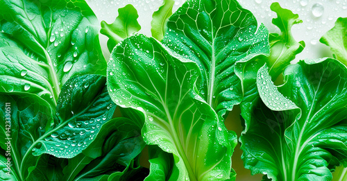 Leaves fresh green lettuce,close up, with water droplets. AI generated.