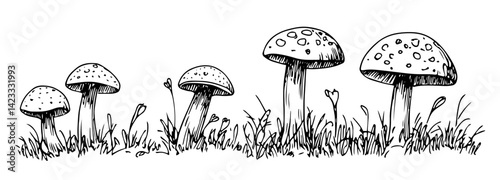 hand drawn forest mushrooms in grass vector illustration