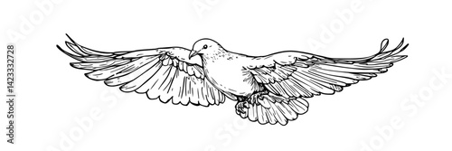 bird with open wings flying hand drawn vector illustration