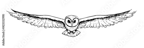 owl flying with wings fully spread doodle sketch vector