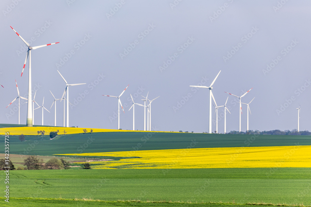 Windkraftanlagen mit gelben Rapsfeldern im Vordergrund