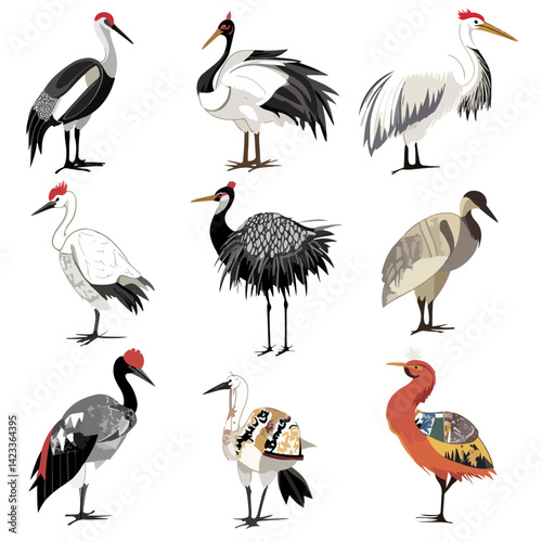 crane, animal, vector, transparent background, various