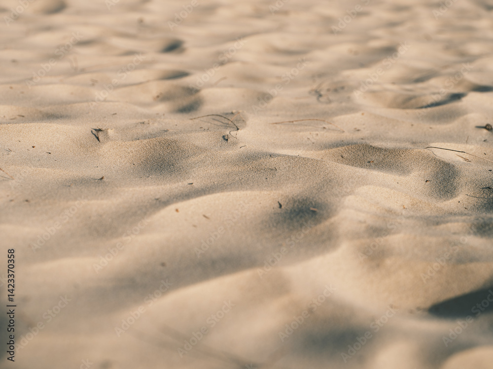 beach beach