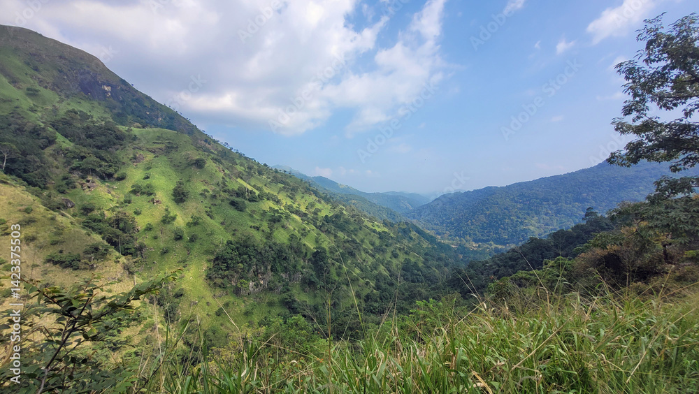 Naklejka premium scenic green mountain landscape in sri lanka