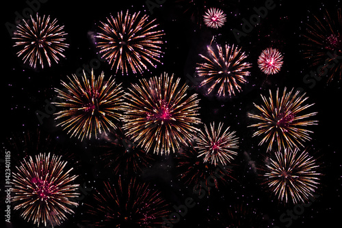 Fireworks burst brightly against a deep night sky