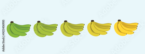 Banana Color Transformation From Green To Yellow illustration EPS Vector