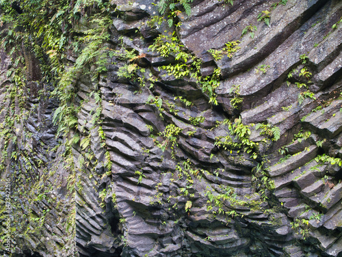 Vertical basalt rock formations in Takachiho Gorge, Kyushu, Japan. Formed by ancient lava flows, these striking rock formations are shaped by volcanic and river erosion.