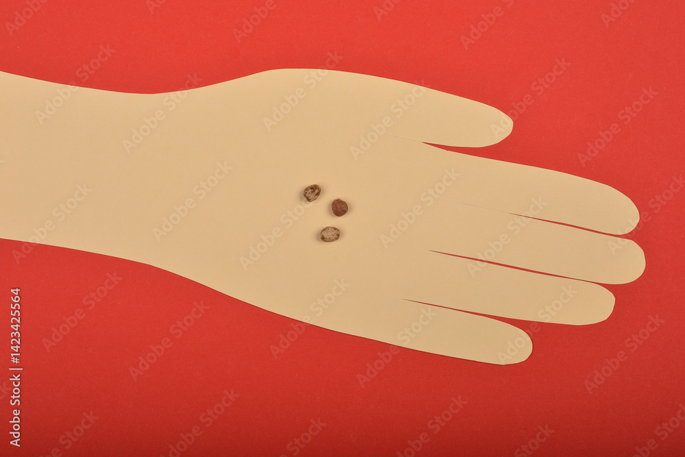 A cutout of a light beige paper hand displays Garden Nasturtium (Tropaeolum majus) seeds illustrating their size, against a red background