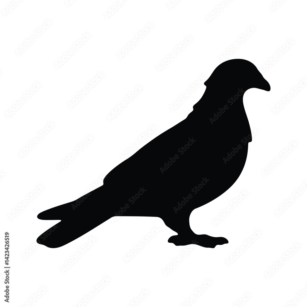 Fototapeta premium Silhouette of Pigeon vector art in black isolated on white background