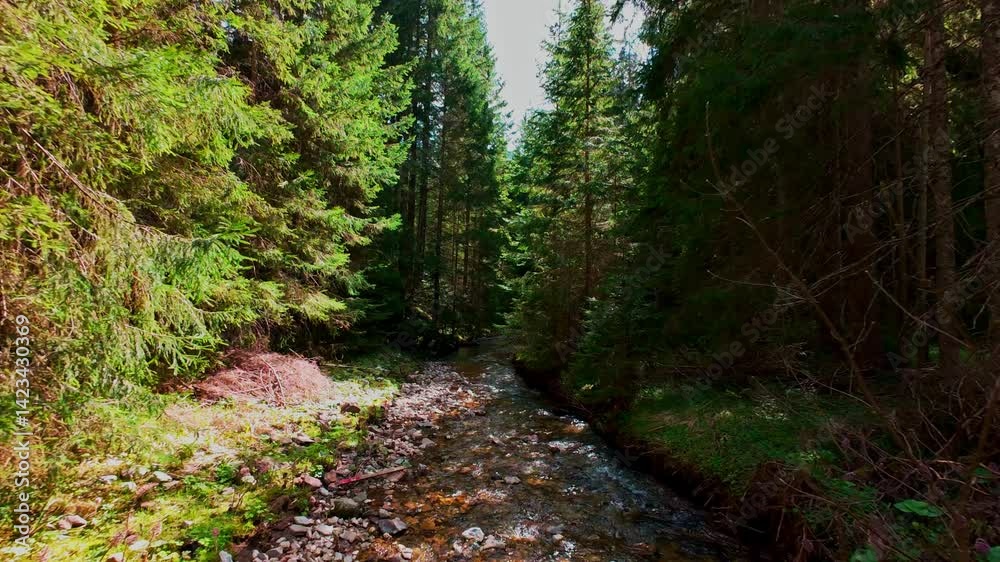 Vertical Low aerial drone shot gliding through a magical forest, over a clear freshwater creek with moss-covered green stones, lush foliage, and rushing water Vertical Low aerial drone shot gliding through a magical forest, over a clear freshwater creek with moss-covered green stones, lush foliage, and rushing water