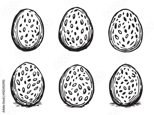 Rolled Oat vector line art illustration