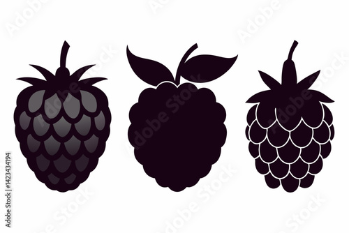 set of Raspberry silhouette vector illustration