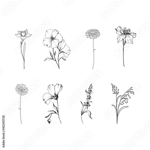 set of flowers vector, line art flowers set