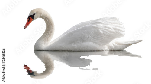 elegant swan gliding gracefully on still water, reflection visible, serene mood, centered composition, clean 