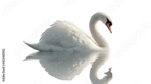 elegant swan gliding gracefully on still water, reflection visible, serene mood, centered composition, clean 
