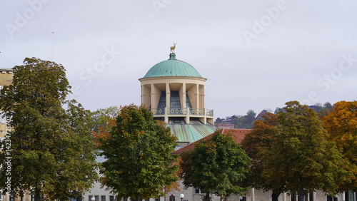 Hirsch auf dem Dach (Stuttgart)