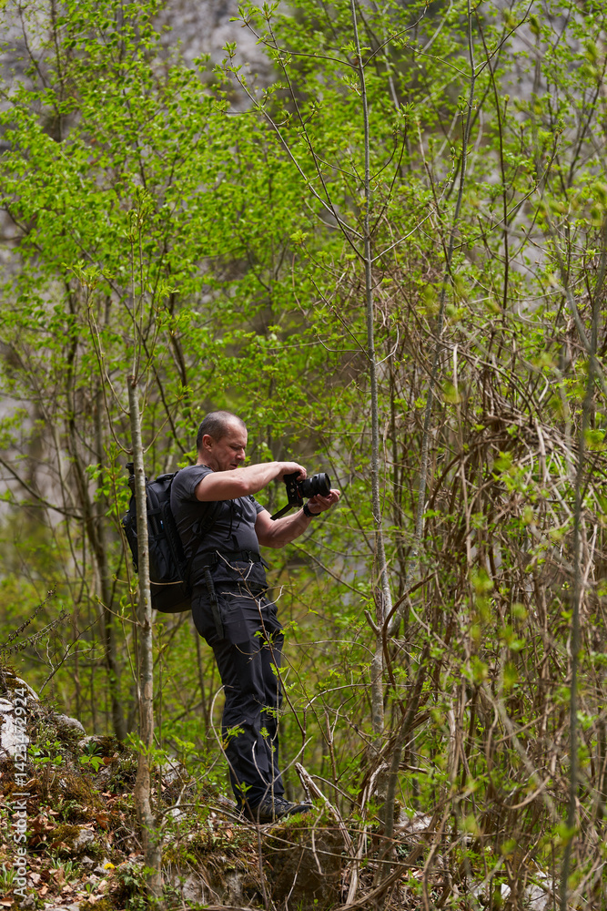 Fototapeta premium Photographer checking camera in forest