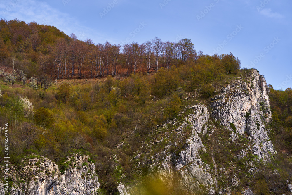 Fototapeta premium Spring forest landscape with rocky mountain ridge