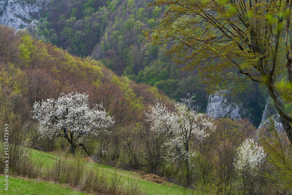 Blooming trees on vibrant spring hillside forest