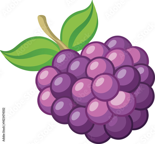 A vibrant vector art illustration of delicious boysenberries, showcasing rich colors, juicy texture, and fresh appeal perfect for culinary themes.