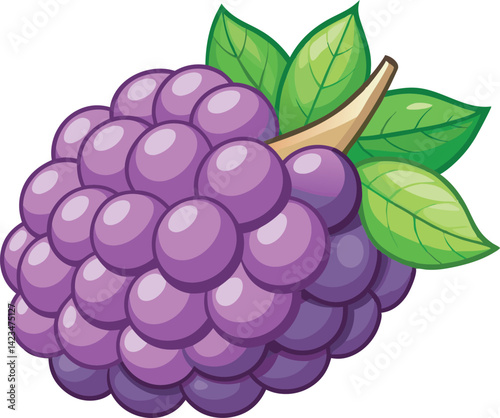 A vibrant vector art illustration of delicious boysenberries, showcasing rich colors, juicy texture, and fresh appeal perfect for culinary themes.