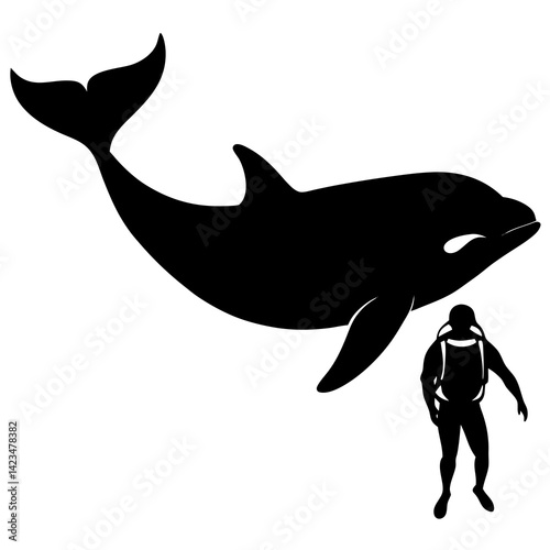 shark and dolphin,.