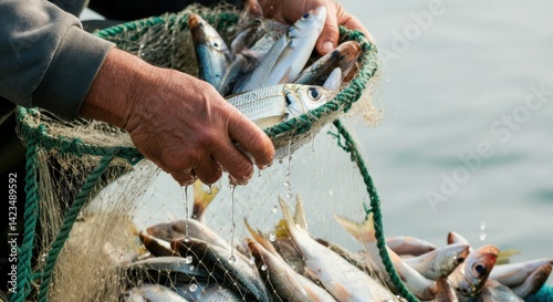 Fisherman holding freshly caught fish in net over water