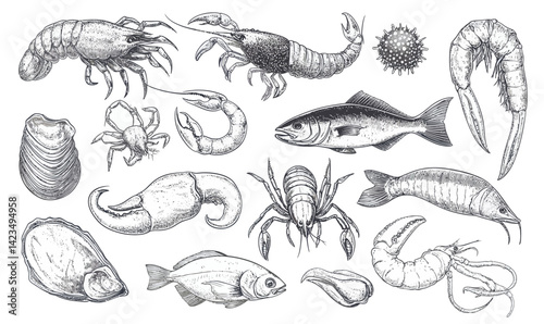 Hand Drawn Vintage Seafood Vector Set: Fish, Crustaceans, Shellfish for Culinary Design