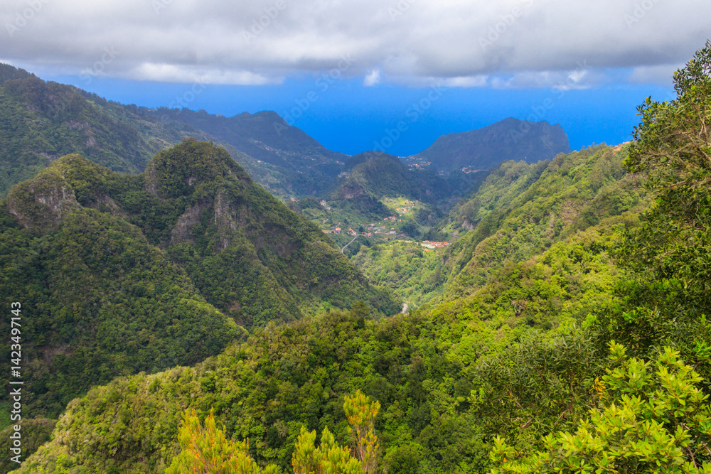 Obraz premium Panoramic views from Miradouro dos Balcoes viewpoint in Ribeiro Frio National park in Madeira, Portugal