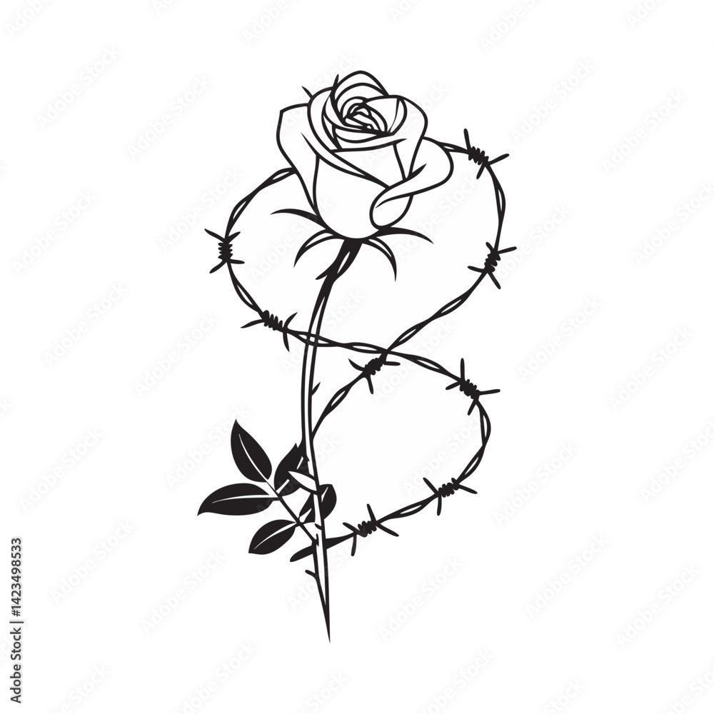 Fototapeta premium white rose on a black background