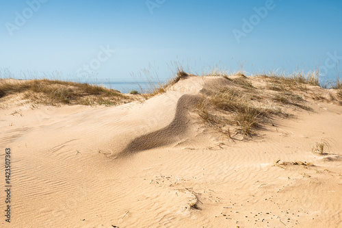 Fototapeta Naklejka Na Ścianę i Meble -  Sand dune on the baltic sea shore
