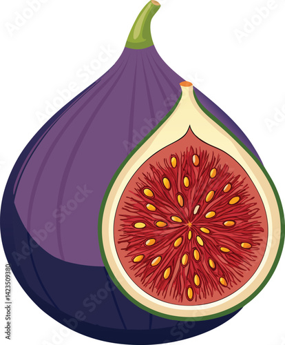 Fig