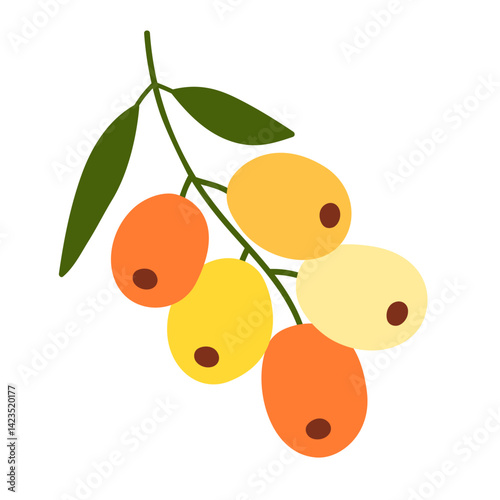 Sea buckthorn berries hand drawn illustration