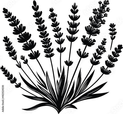 Lavender Plant Silhouette, Lavender Flowers Vector Illustration in Black

