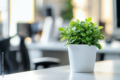 A potted plant on a modern office desk, symbolizing growth and freshness, perfect for workplace inspiration and office decor. photo