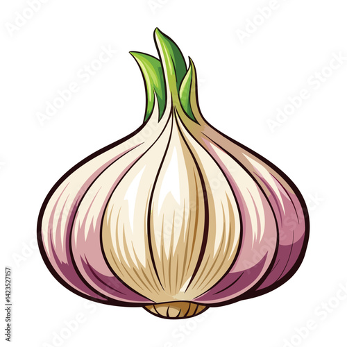  a illustration of a garlic bulb on a white background 