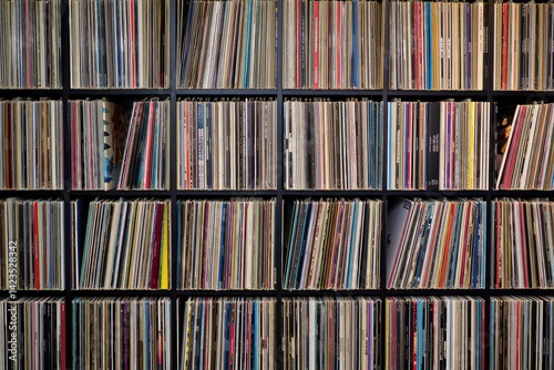 A Colorful Vinyl Record Collection Displayed in an Organized and Stylish Manner