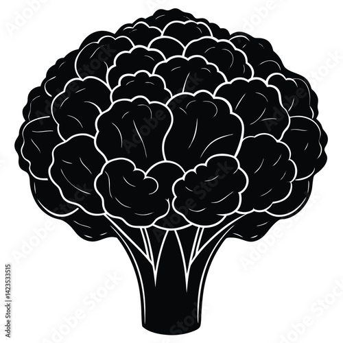 Black silhouette of a cauliflower on a white background 