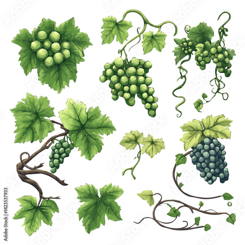 A Very Simple flat 2D icon of a Collection of grapevine elements elements isolated on a transparent background, vector, flat design, simple flat 2D icon, eps