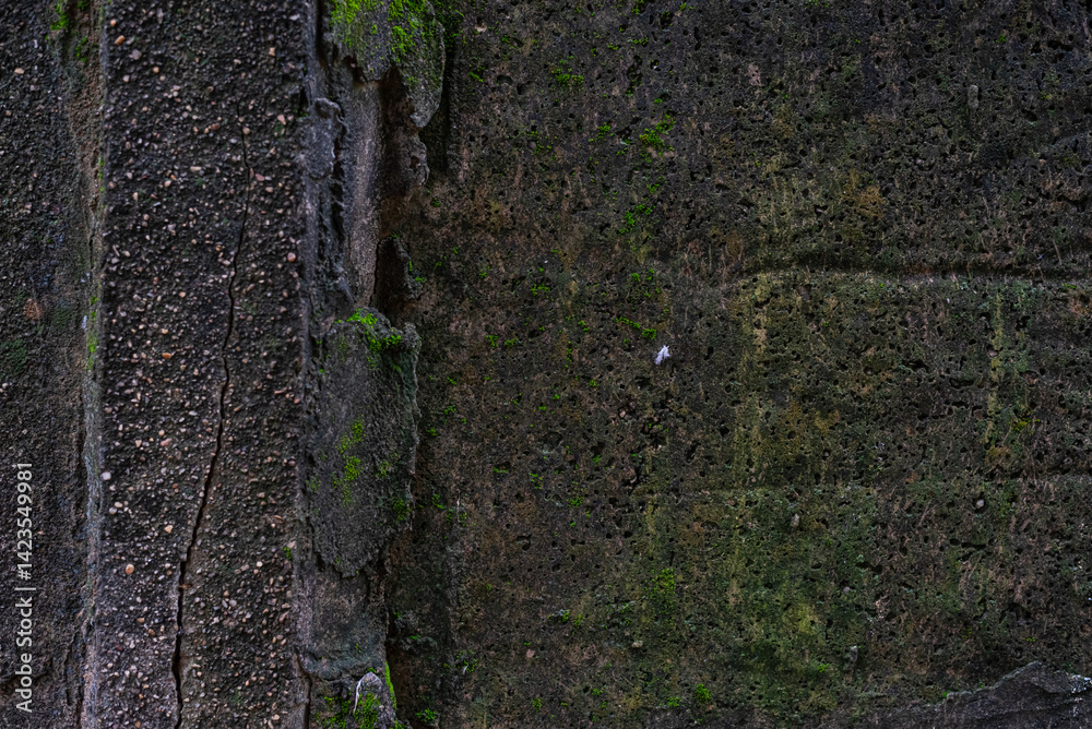 Obraz premium Photo of wall texture pattern