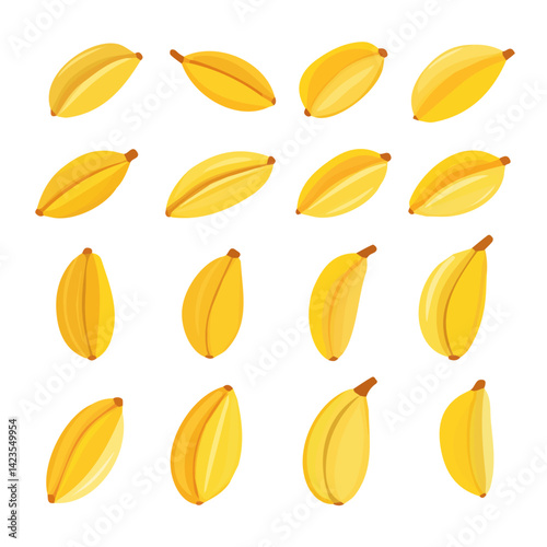 My Simple flat 2D illustration of boiled plantains set isolated on a transparent background, vector, flat design, animation design, simple flat 2D icon, EPS Format