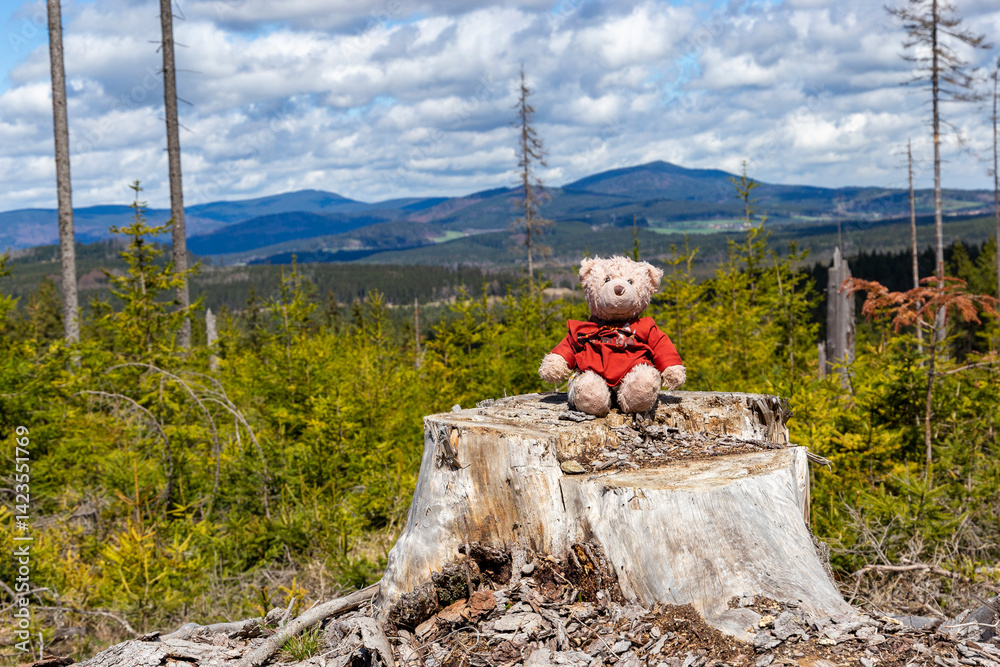 A teddy bear sitting on a tree stump in Sumava National Park, Czech Republic.